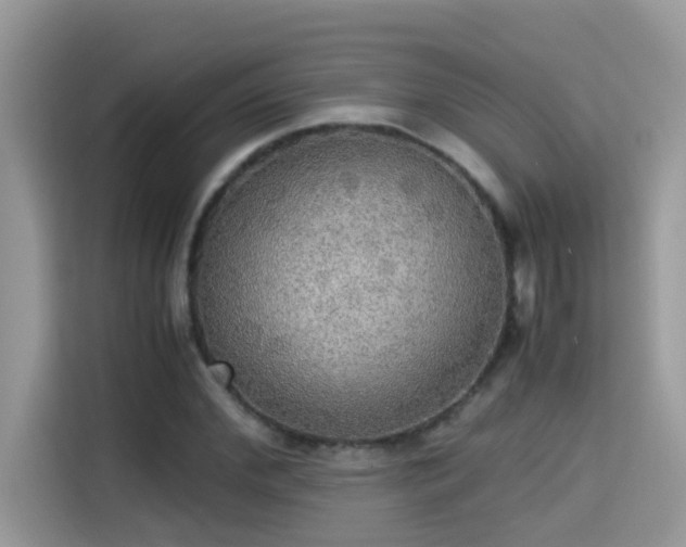 X0000115310972200911091133
