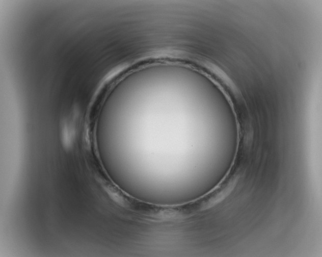 X0000115310974200911091133