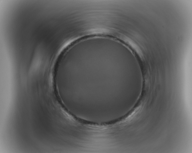 X0000115310975200911091133