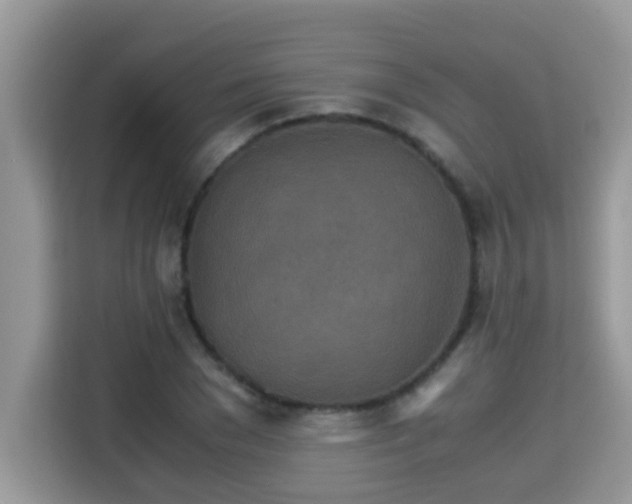 X0000115310977200911091133