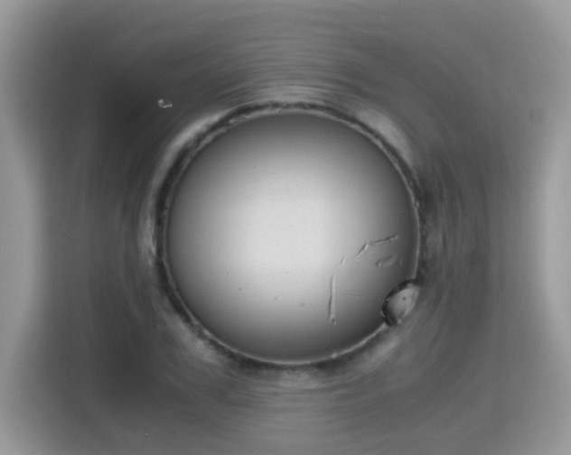 X0000115310979200911091133