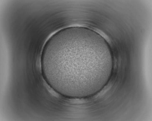 X0000115310980200911091133
