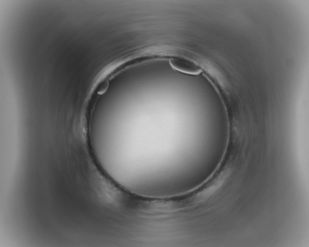 X0000115310981200911091133