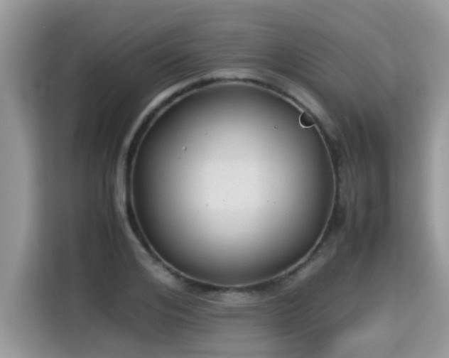 X0000115310984200911091133