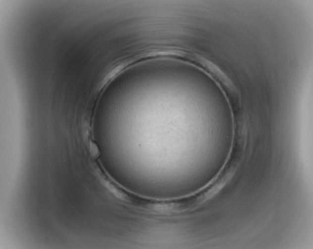 X0000115310985200911091133