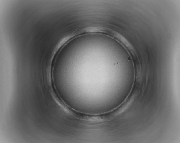 X0000115310986200911091133