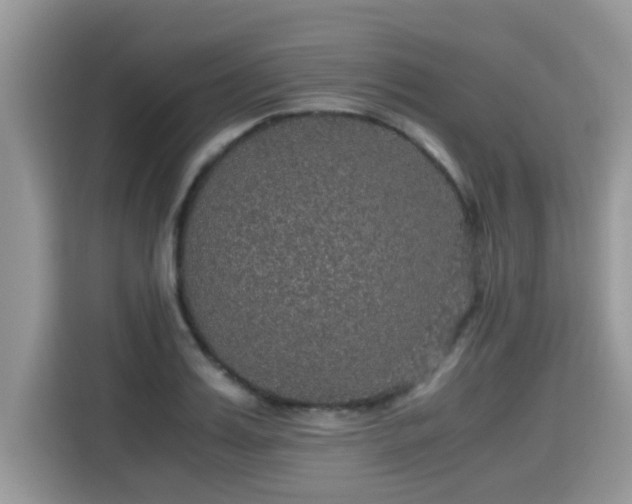 X0000115310987200911091133