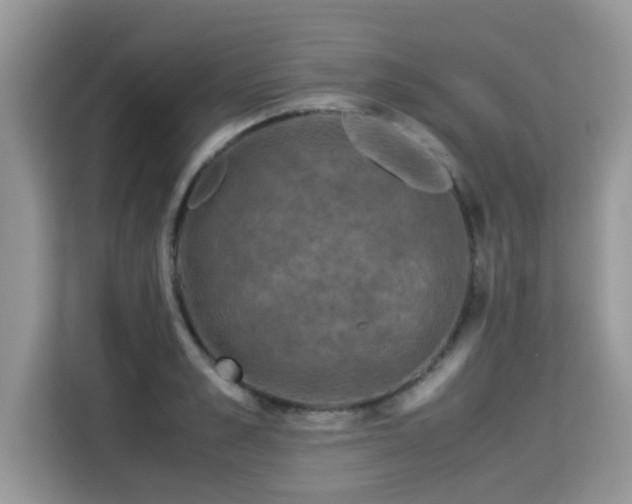 X0000115310989200911091133