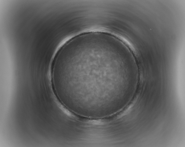 X0000115310990200911091133