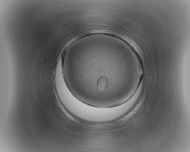 X0000115310993200911091133