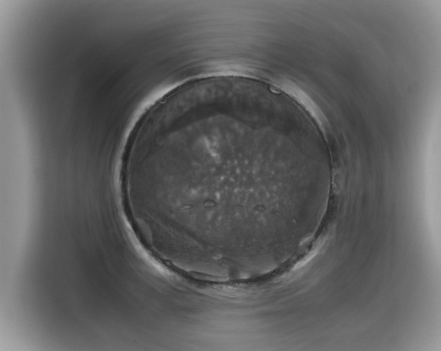 X0000115310995200911091133