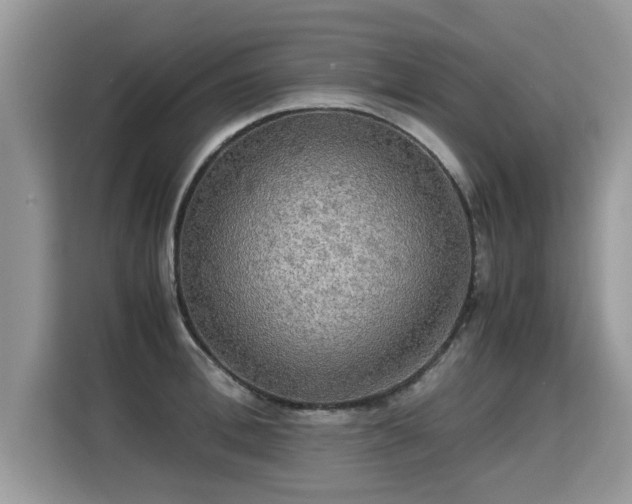 X0000115310996200911091133