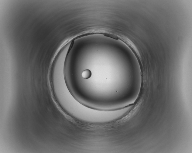 X0000115310997200911091133