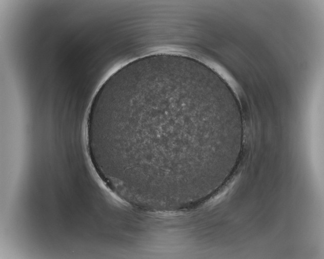 X0000115310999200911091133