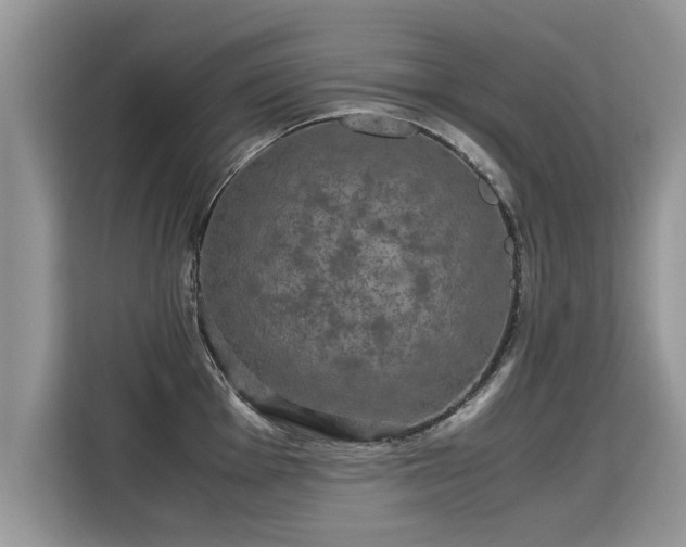 X0000115311001200911091133