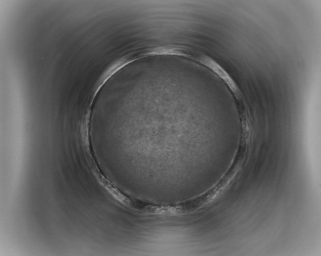 X0000115311002200911091133