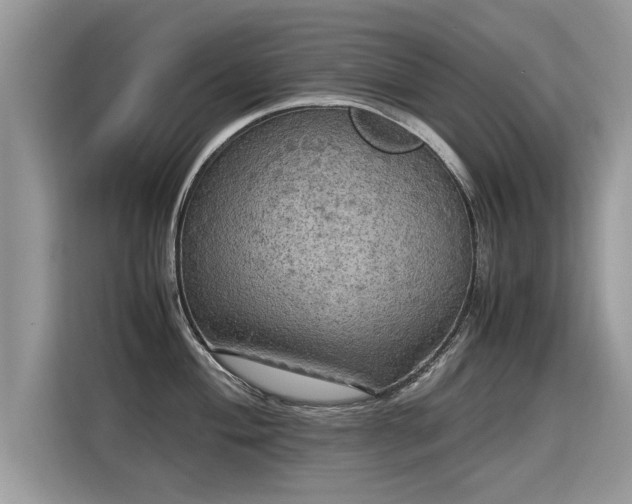 X0000115311004200911091133