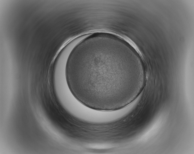 X0000115311005200911091133