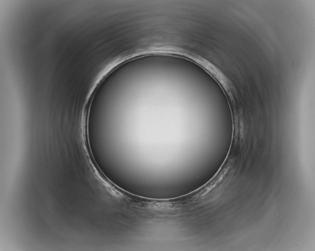 X0000115311006200911091133