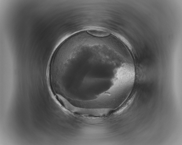 X0000115311007200911091133