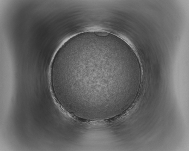 X0000115311008200911091133