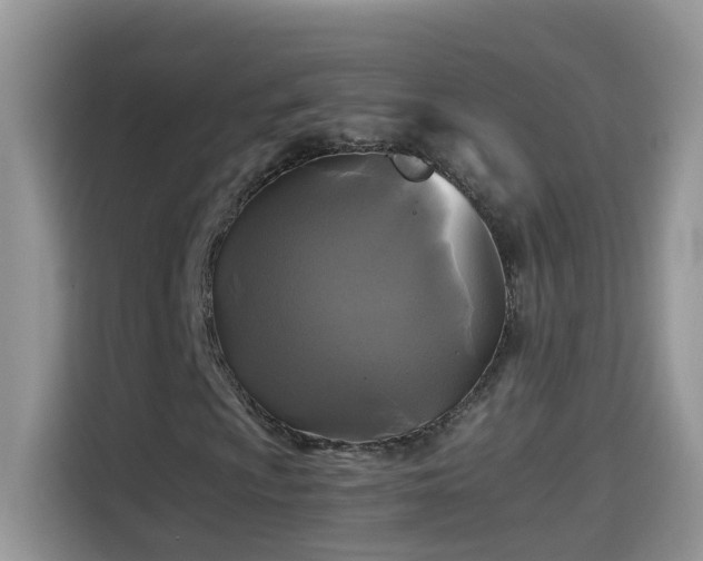 X0000115311009200911091132