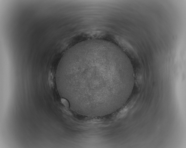 X0000115311010200911091132