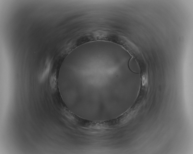 X0000115311011200911091132