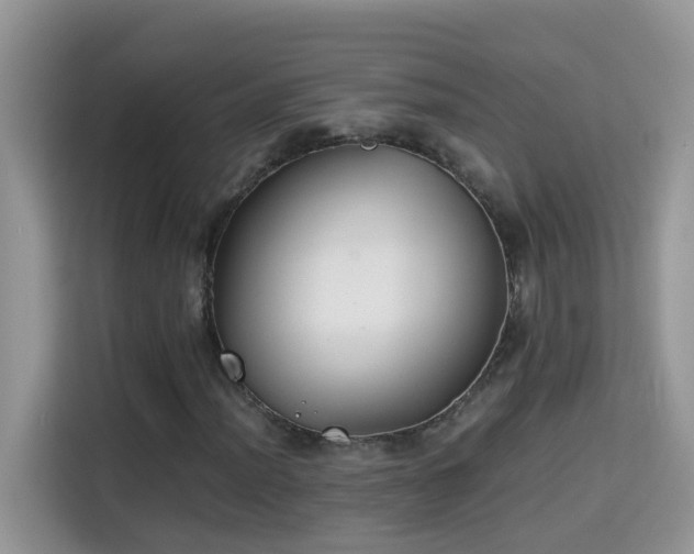 X0000115311012200911091132