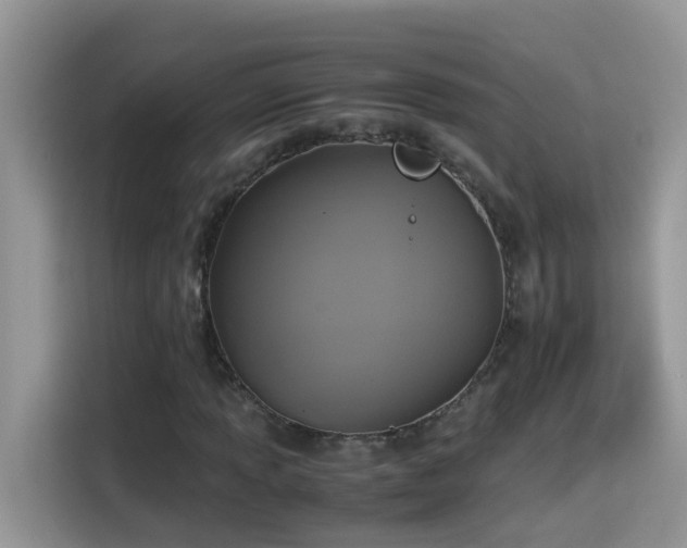 X0000115311013200911091132