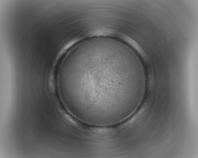 X0000115311018200911091132