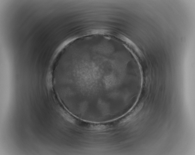 X0000115311019200911091132