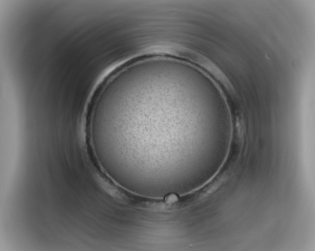 X0000115311020200911091132