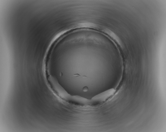 X0000115311024200911091132