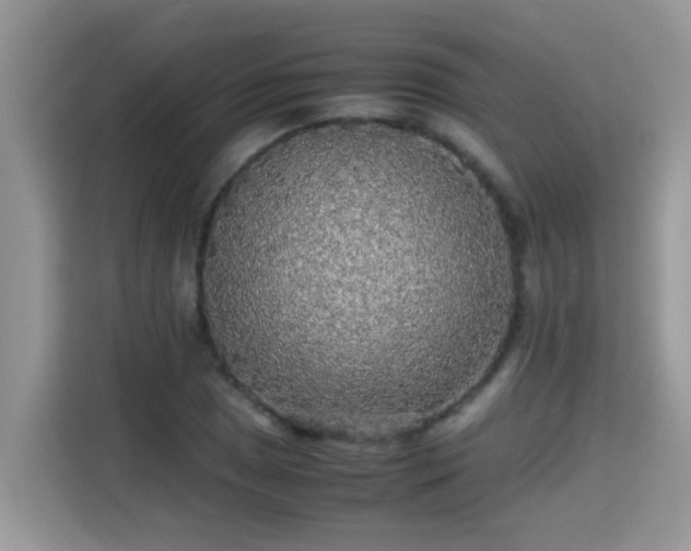 X0000115311025200911091132