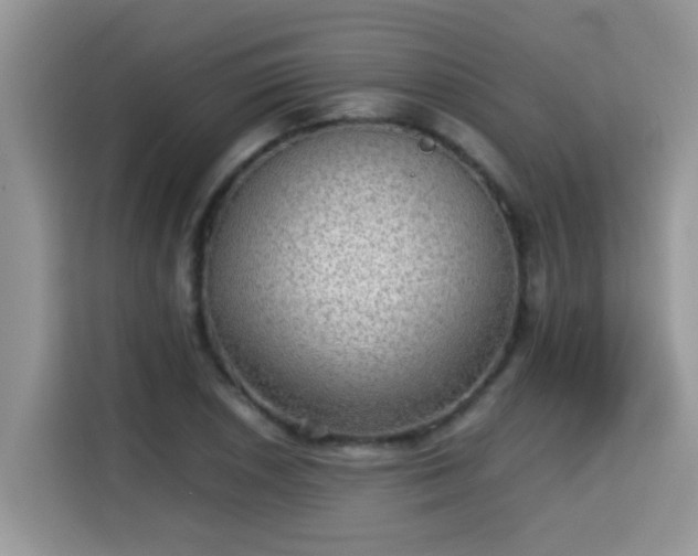 X0000115311026200911091132