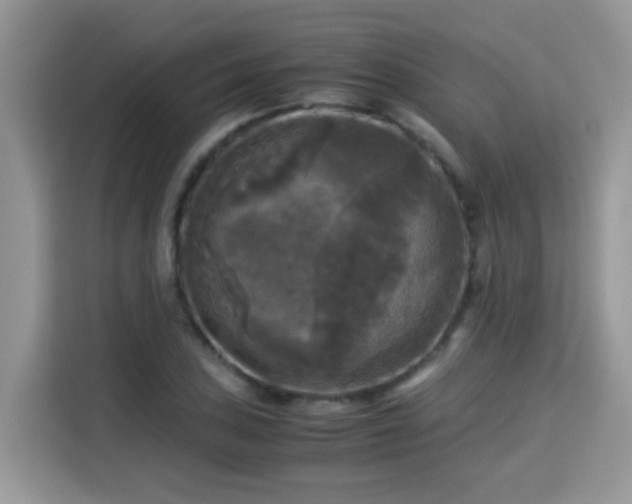 X0000115311027200911091132