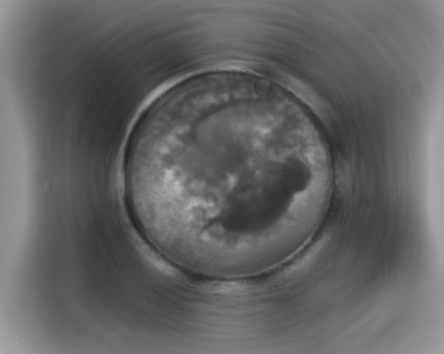 X0000115311028200911091132