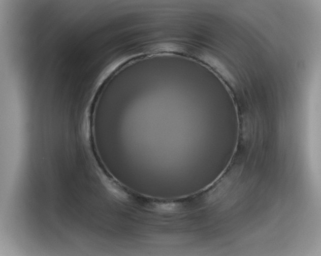 X0000115311031200911091132