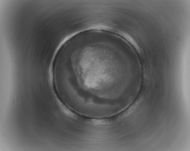 X0000115311032200911091132