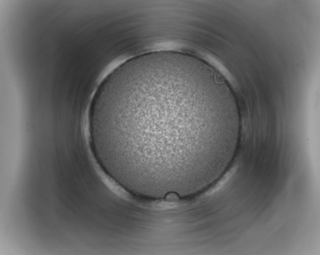 X0000115311034200911091133