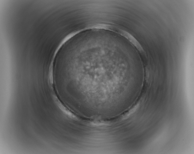 X0000115311036200911091133