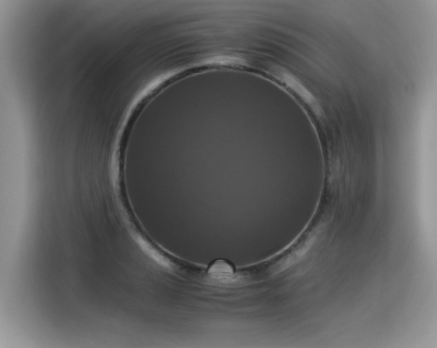 X0000115311037200911091133