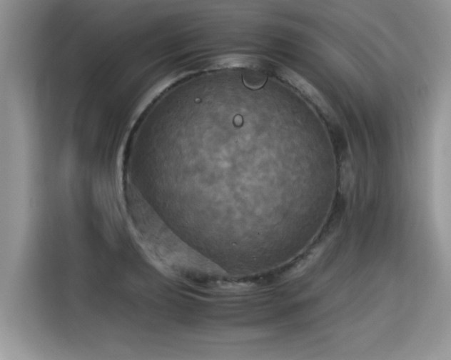 X0000115311039200911091133
