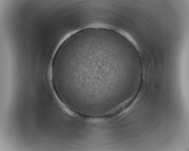 X0000115311040200911091133