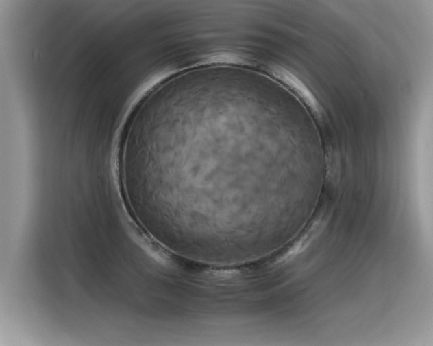 X0000115311043200911091133