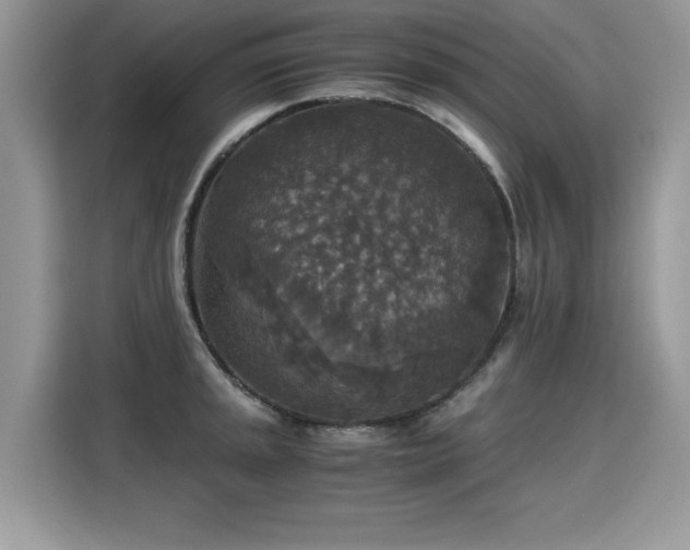 X0000115311045200911091133