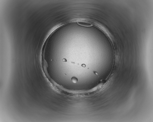 X0000115311050200911091133