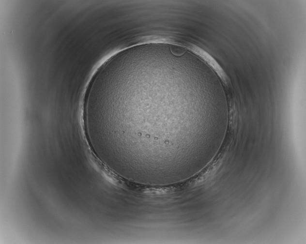 X0000115311051200911091133