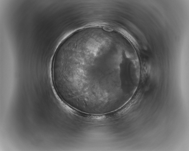 X0000115311055200911091133